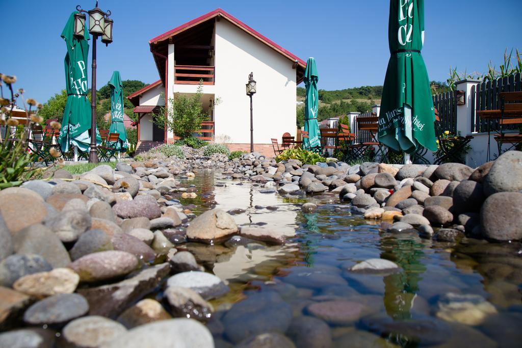 Country Court Bed & Breakfast Curteni ภายนอก รูปภาพ